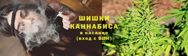 mdpv Пролетарск