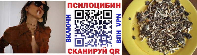 нарко площадка наркотические препараты  Шилка  Галлюциногенные грибы ЛСД 