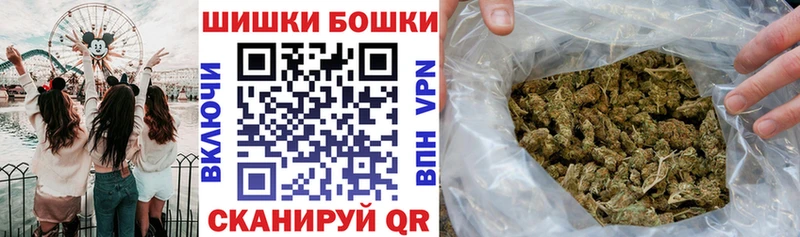 Канабис сатива  Шилка 